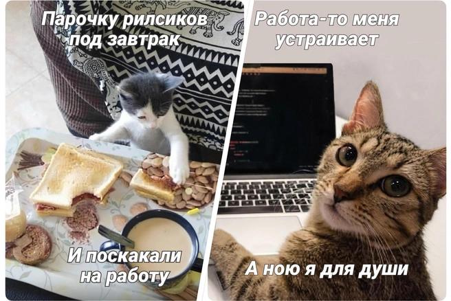Смешные мемы и картинки про работу | Источник: Полина Авдошина / Городские медиа