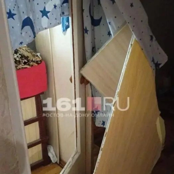 Источник: 161.ru