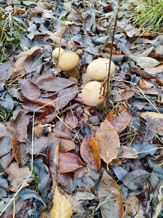 Источник: Павел Никишаев