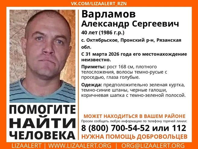 Поисковый отряд просит о помощи добровольцев | Источник: соцсети «ЛизаАлерт» Рязанской области