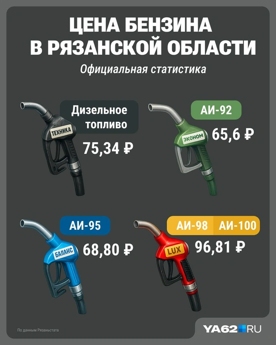 Столько в Рязанской области стоит бензин, по версии Росстата | Источник: Серафима Пантыкина / Городские медиа