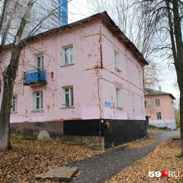 Источник: Тимофей Калмаков / 59.RU