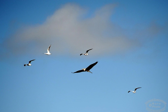 Источник: Евгений Епанчинцев