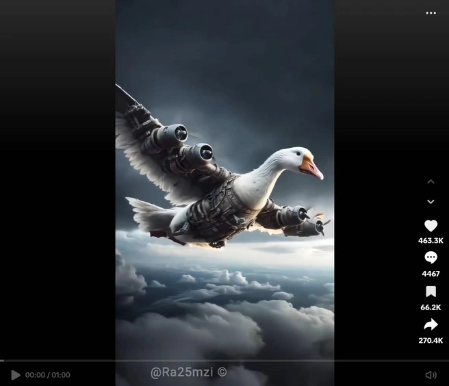 Источник: @ra25mzi / TikTok