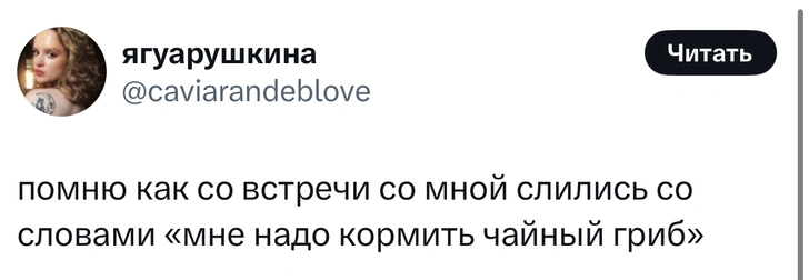 Источник: X (Twitter)