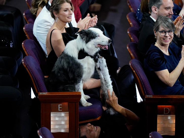 Конец «Барбенгеймера» и испорченное платье Эммы Стоун: как прошел «Оскар-2024» (и кто привел с собой собаку)