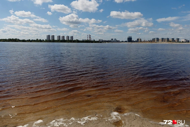 Очень много воды в этом году  | Источник: Ирина Шарова / 72.RU 