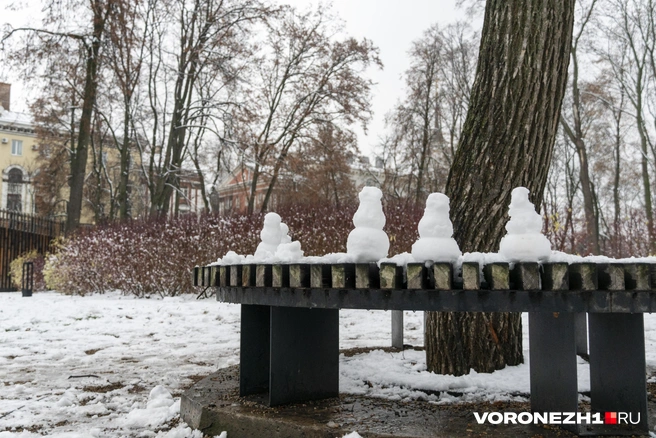 Источник: Дмитрий Волгин / Voronezh1.ru