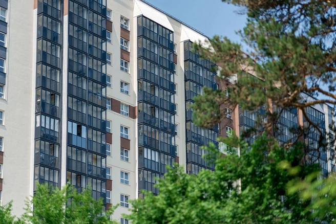 Жизнь в квартале «Сосновый бор» от ГК «Расцветай» — это баланс между городским комфортом и природной средой | Источник: ГК «Расцветай»