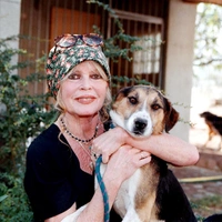 Умерла Брижит Бардо — женщина, которая изменила кино, сексуальность и саму идею свободы