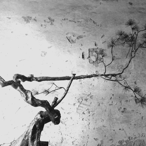 Основание для стола в виде дерева | Источник: личный архив Владимира Кашина