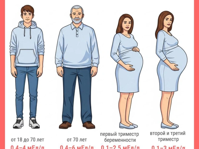 Источник: Юрий Орлов / Городские медиа