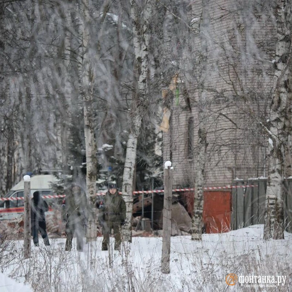 Источник: Валентин Егоршин / «Фонтанка.ру»