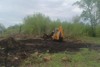 В Иссе приступили к выкорчёвке корней деревьев в рамках ФГКС