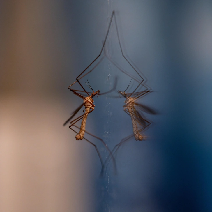 Источник: Mike Szczepanski/Unsplash