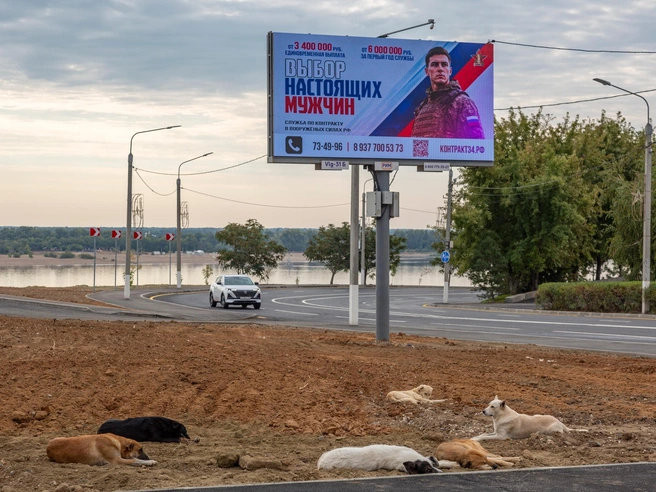 Срок исполнения контракта — 1 ноября | Источник: Константин Завриков / V1.RU