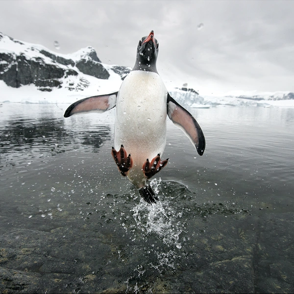 Источник: Ben Cranke / BigPicture 2014
