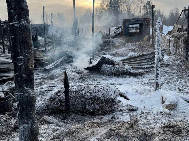 Вид на постройки конного клуба после произошедшего пожара. | Источник: читательница E1.RU Евгения