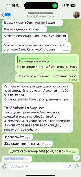 В день, когда все случилось, Родион был на нервах. Это видно по переписке | Источник: Родион Проводин