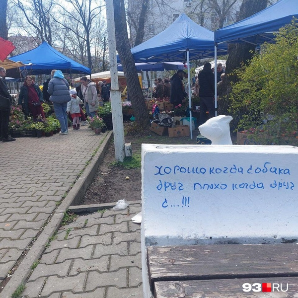 Источник: Максим Дмитриев / 93.RU