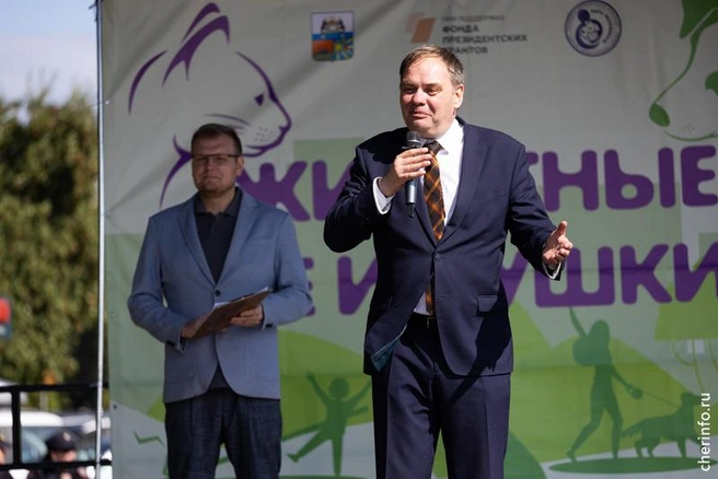 Источник: st.cherinfo.ru