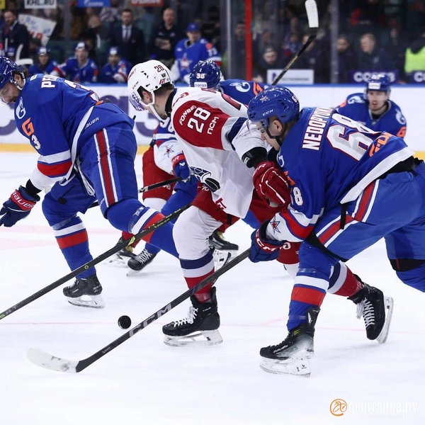 Источник: Дарья Драй / «Фонтанка.ру»