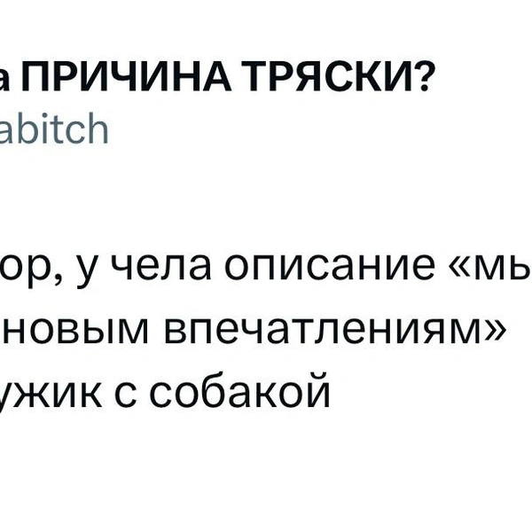 Источник:  X (Twitter)