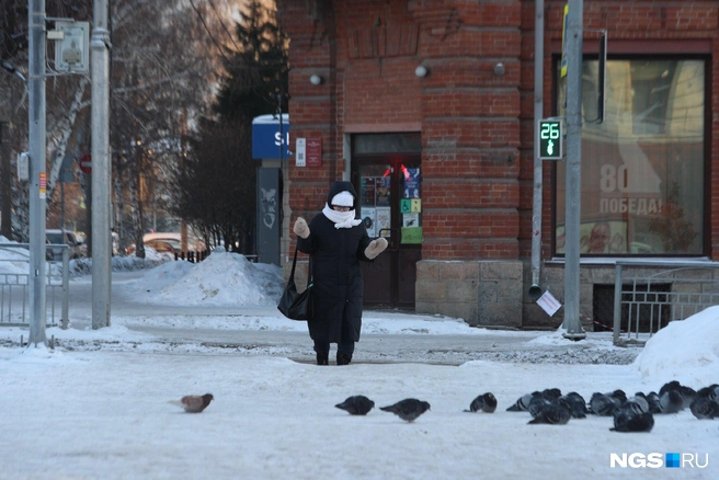 Источник: Андрей Бортко / NGS.RU