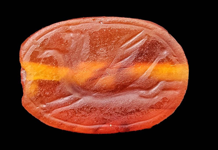 Скарабей из сердолика: посмотрите, какую печать возрастом 2800 лет нашел турист в Израиле