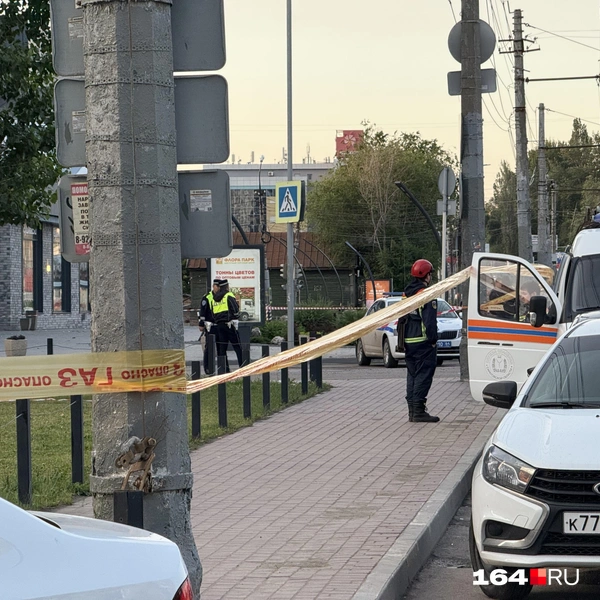 Источник: Сергей Петунин / 164.RU