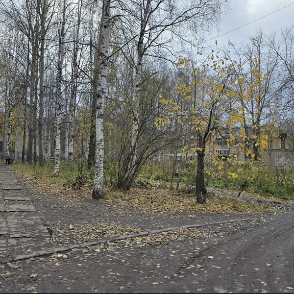 Источник: gosuslugi.ru