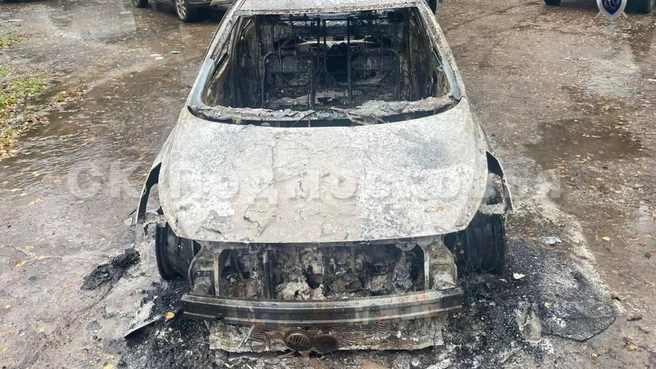 Мужчину убили, спрятали в багажник и сожгли | Источник: СК Подмосковья / T.me