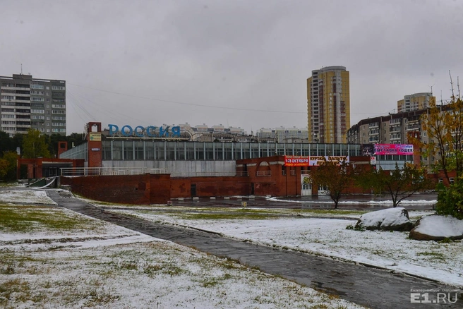 Судя по архитектуре, КОСК так и остался в советском времени. А вон и яркая вывеска о том, что здесь проходят выставки кошек.
