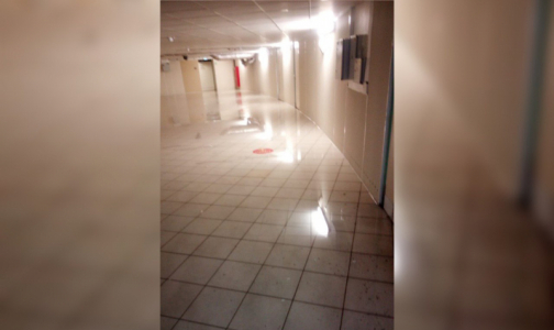 Боткинская больница ответила за потоп: Заливает регулярно из-за недоделок при строительстве