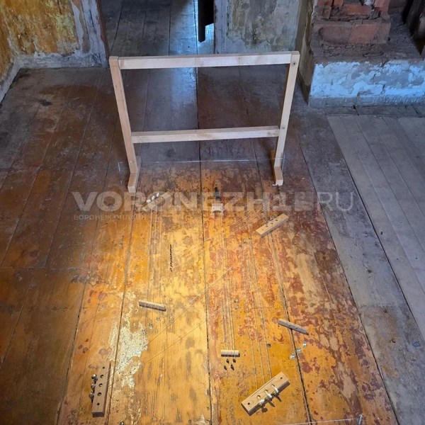 Музыка везде | Источник: Ирина Булгакова/Voronezh1.ru