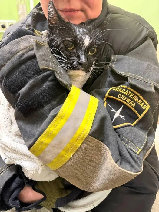 Источник: Спасатели «СпасРезерв»