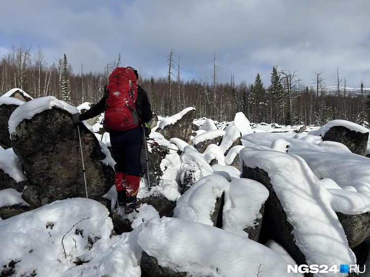 В день исчезновения там было два вертолета: охотовед выдвинул две версии об исчезновении семьи Усольцевых