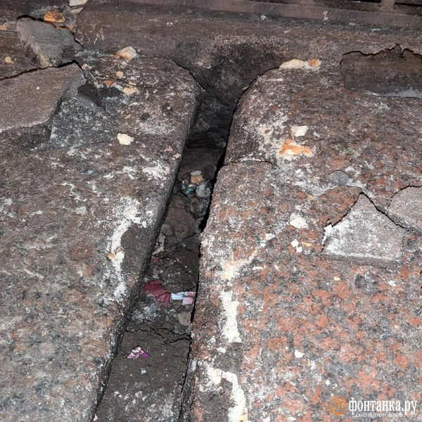 Источник: Даниил Шурыгин / «Фонтанка.ру»