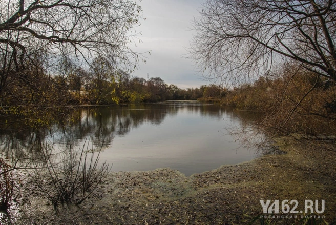 Пруд в Стенькине