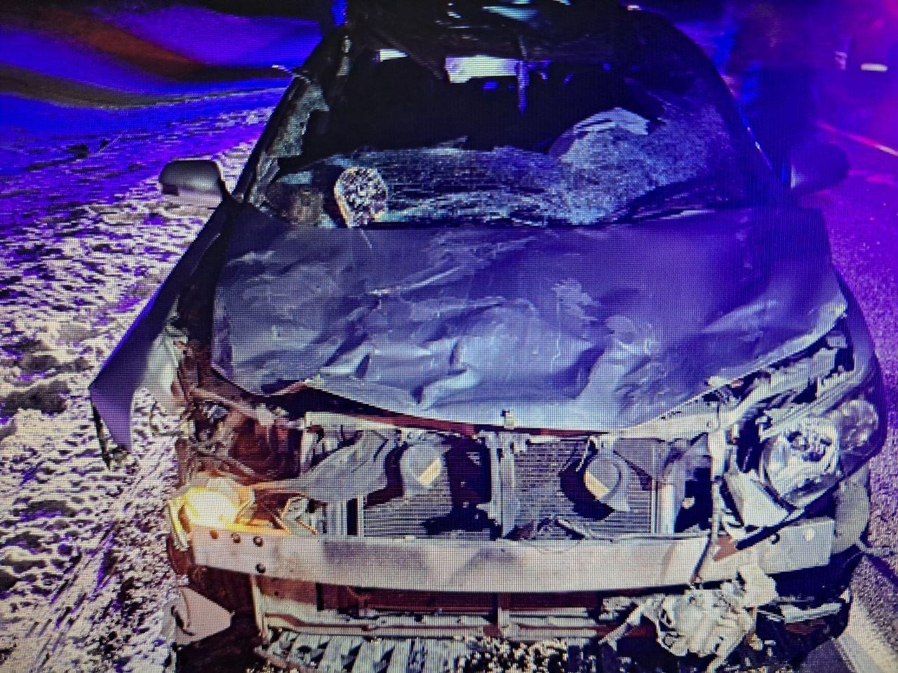 Легковушка сбила лошадь на трассе в Забайкалье