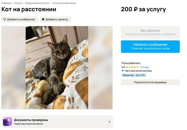 Источник: Avito