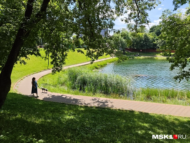 Живописный Калитниковский пруд | Источник: Анастасия Харитонова / MSK1.RU