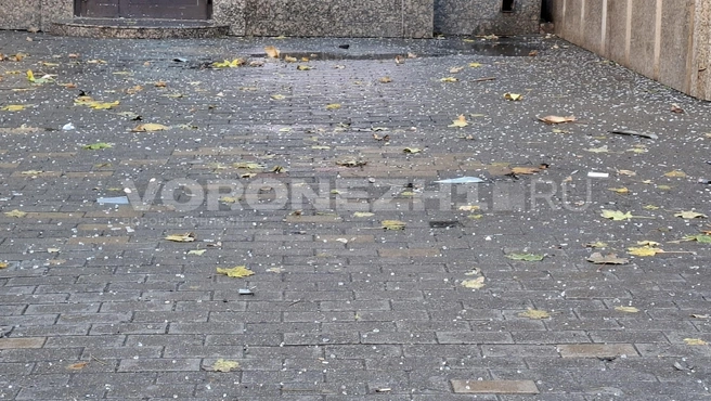 За оцепление людей не пускают | Источник: Алёна Воропаева / Voronezh1.ru