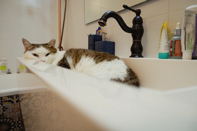 14 домов на Гагарина без воды до утра