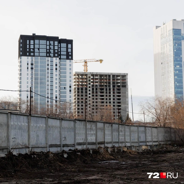 Источник: Ирина Шарова / 72.RU