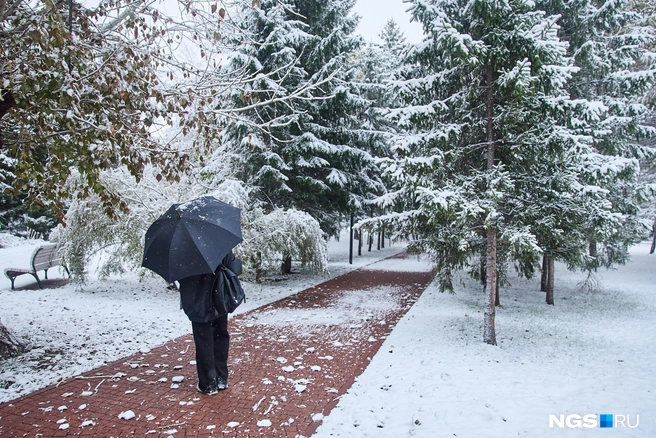 Некоторые новосибирцы вооружились зонтиками | Источник: Александр Ощепков / NGS.RU