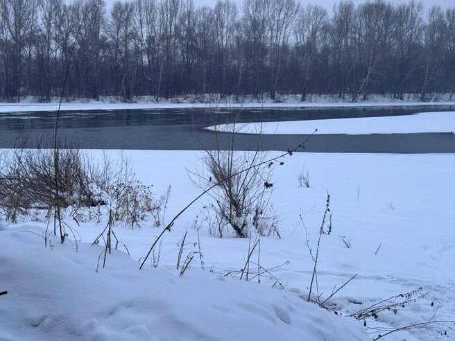 В Кемеровской области двое детей утонули на глазах у приятеля, провалившись под лёд | Источник: Прокуратура Кемеровской области — Кузбасса