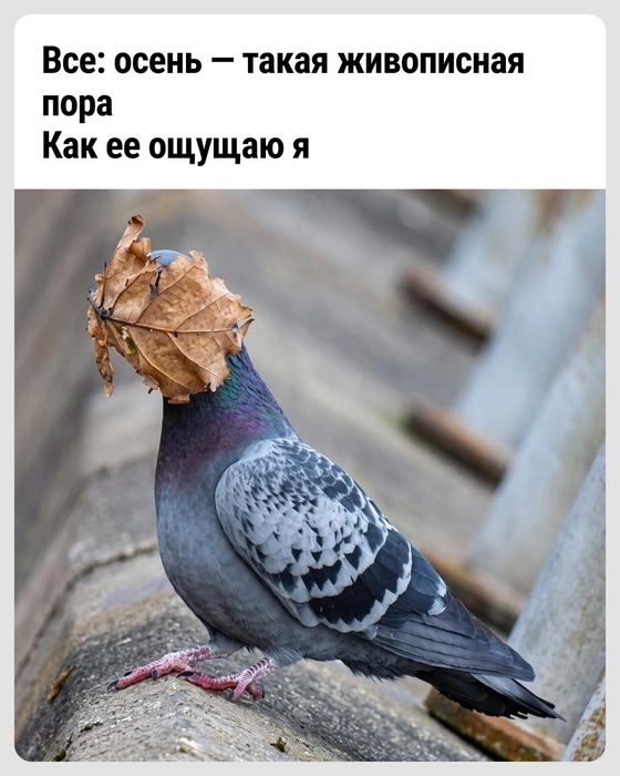 Когда там уже лето? | Источник: Городские медиа