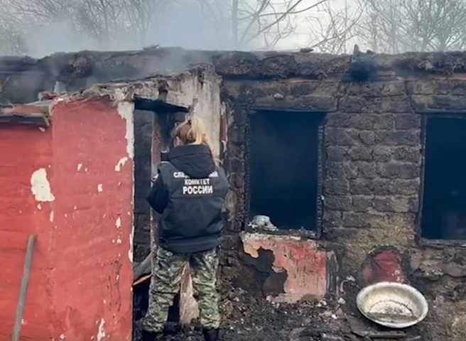 На пожаре в Краснодарском крае погибли трое малолетних детей | ya62.ru