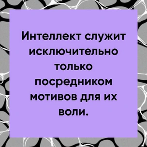 [тест] Выбери цитату Шопенгауэра, а мы угадаем, за что ты не любишь людей